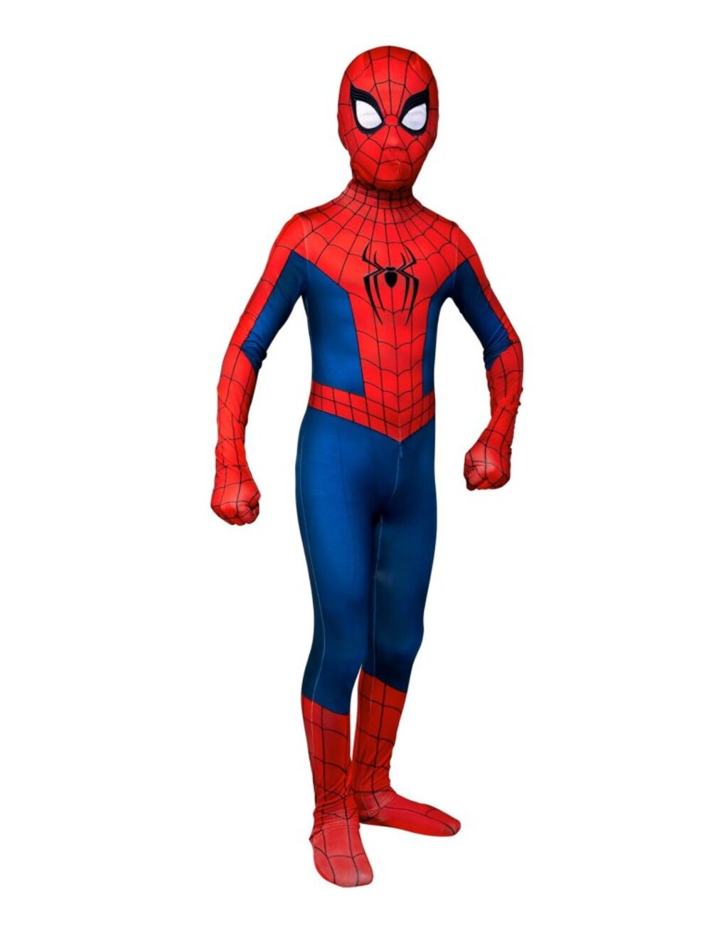 Spider-The New Day